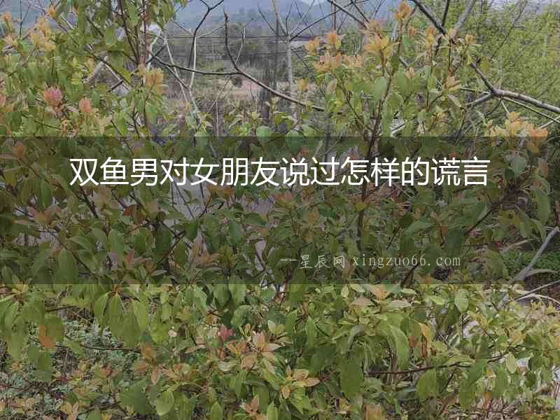 雙魚男對女朋友說過怎樣的謊言