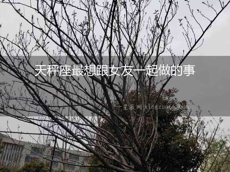天秤座最想跟女友一起做的事