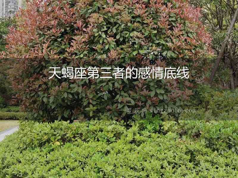 天蝎座第三者的感情底線