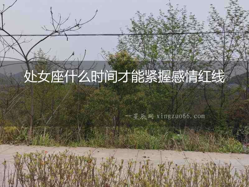 處女座什么時間才能緊握感情紅線