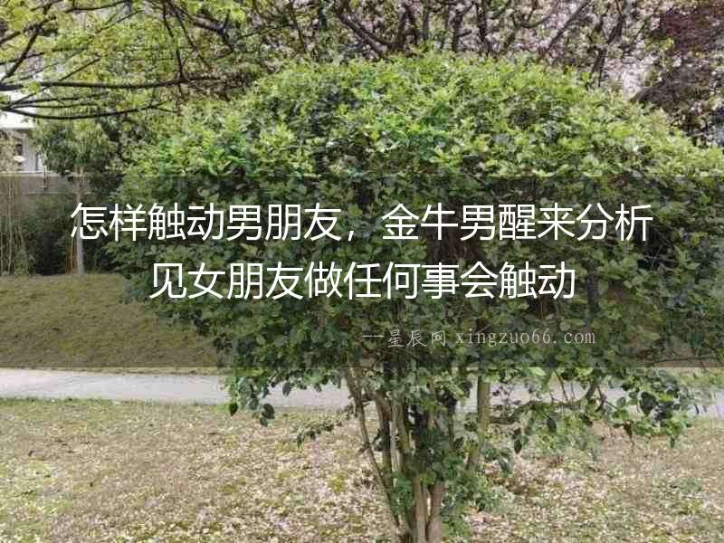怎樣觸動男朋友，金牛男醒來分析見女朋友做任何事會觸動