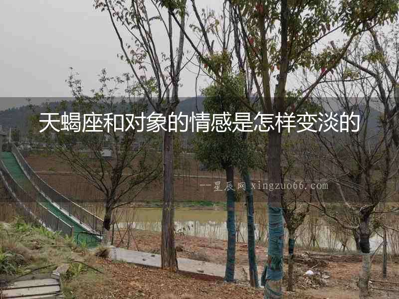 天蝎座和對象的情感是怎樣變淡的