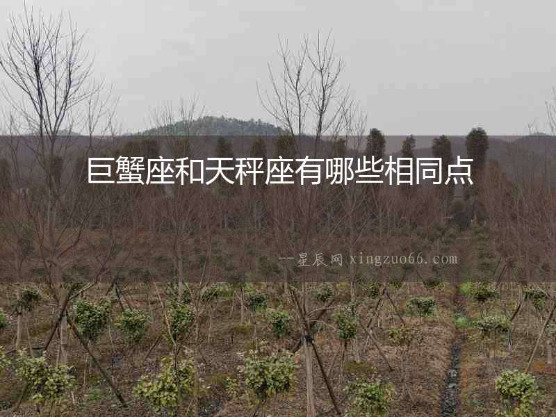 巨蟹座和天秤座有哪些相同點(diǎn)