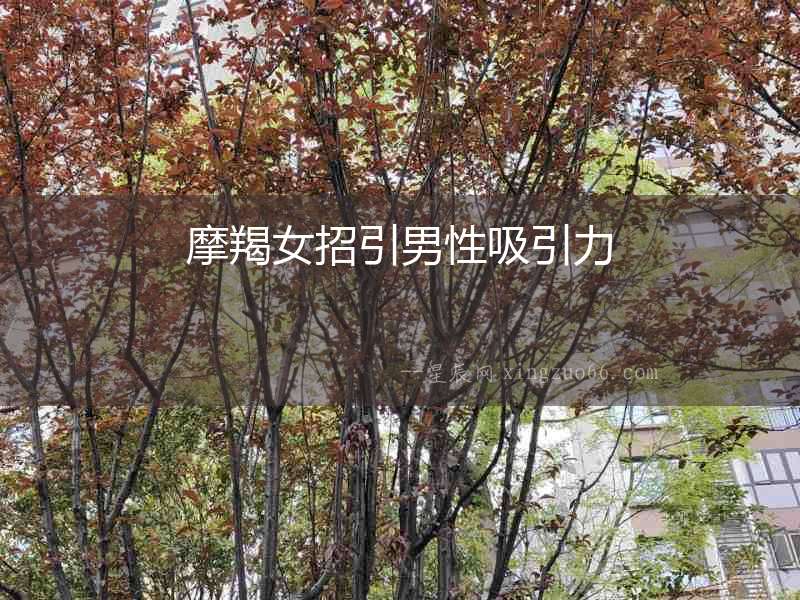 摩羯女招引男性吸引力