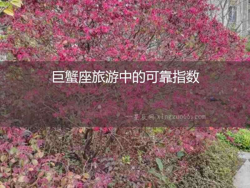 巨蟹座旅游中的可靠指數