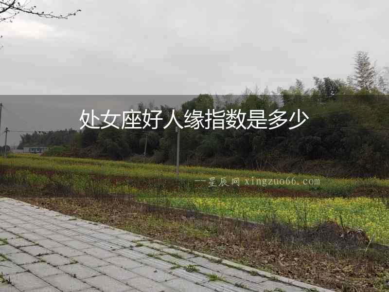 處女座好人緣指數是多少