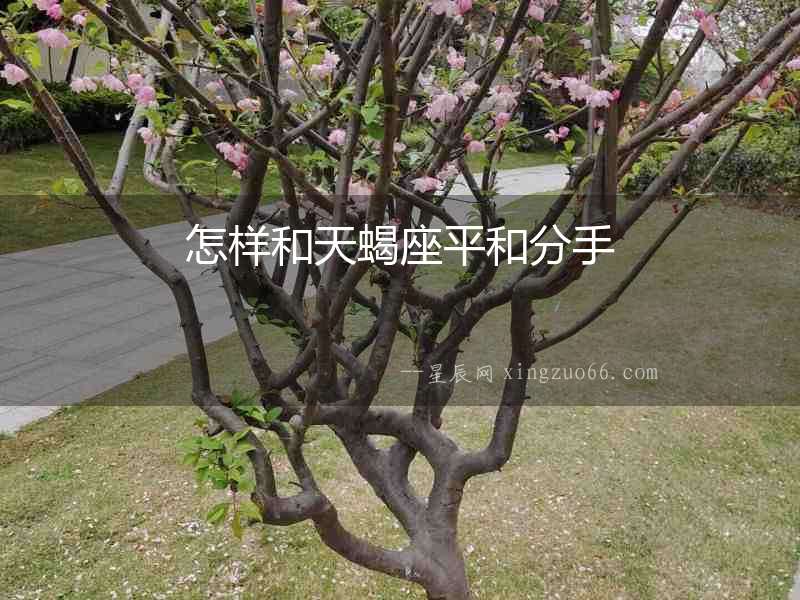 怎樣和天蝎座平和分手