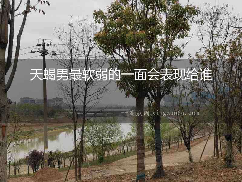天蝎男最軟弱的一面會表現給誰
