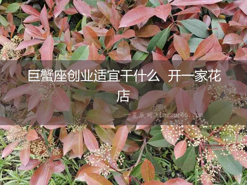 巨蟹座創業適宜干什么  開一家花店
