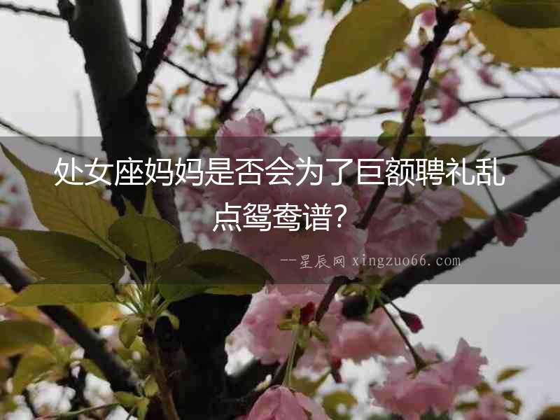 處女座媽媽是否會(huì)為了巨額聘禮亂點(diǎn)鴛鴦譜？