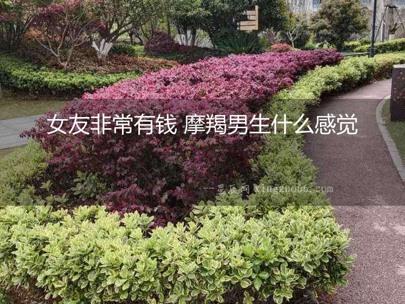 女友非常有錢 摩羯男生什么感覺