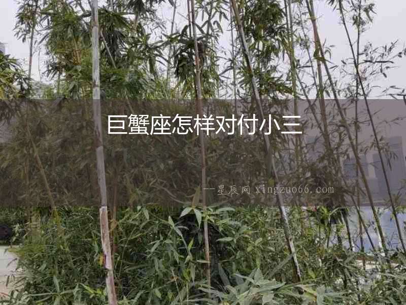 巨蟹座怎樣對付小三