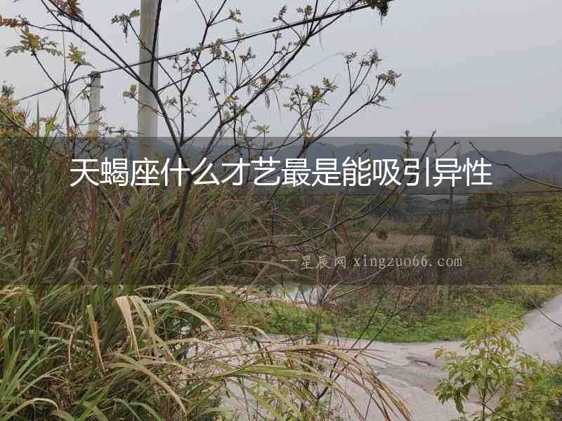 天蝎座什么才藝最是能吸引異性