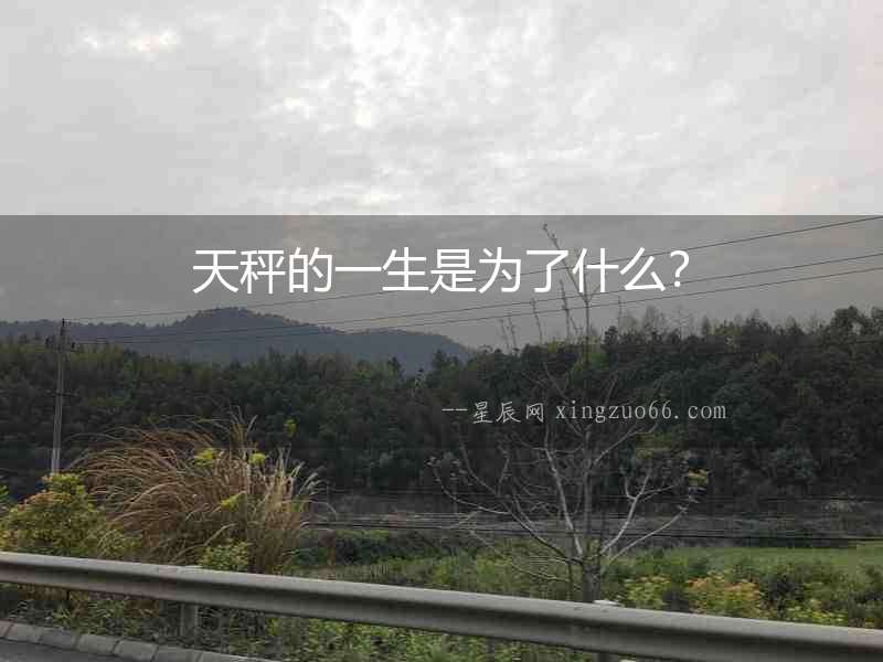 天秤的一生是為了什么？