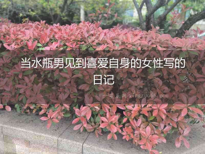 當水瓶男見到喜愛自身的女性寫的日記