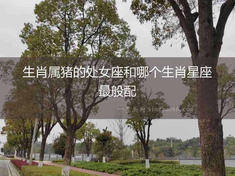 生肖屬豬的處女座和哪個(gè)生肖星座最般配