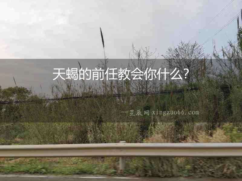 天蝎的前任教會(huì)你什么？