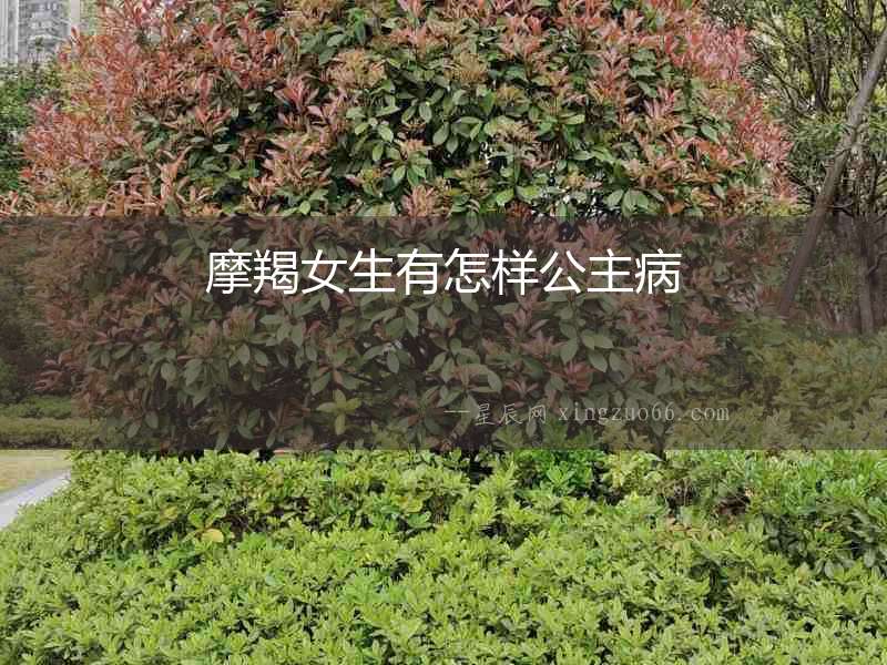 摩羯女生有怎樣公主病