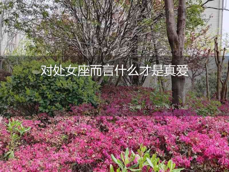 對處女座而言什么才是真愛