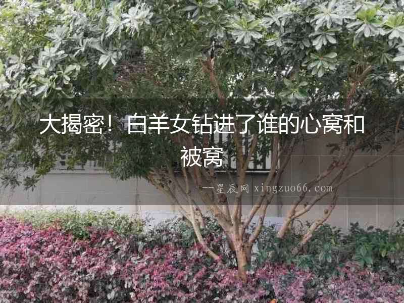 大揭密！白羊女鉆進了誰的心窩和被窩