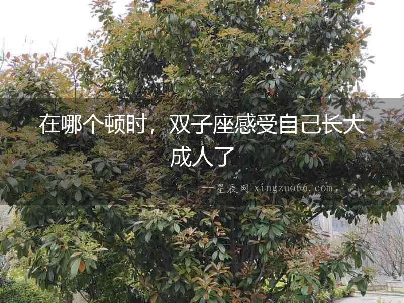 在哪個頓時，雙子座感受自己長大成人了