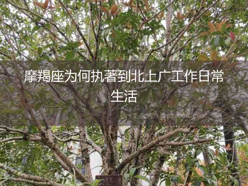 摩羯座為何執著到北上廣工作日常生活