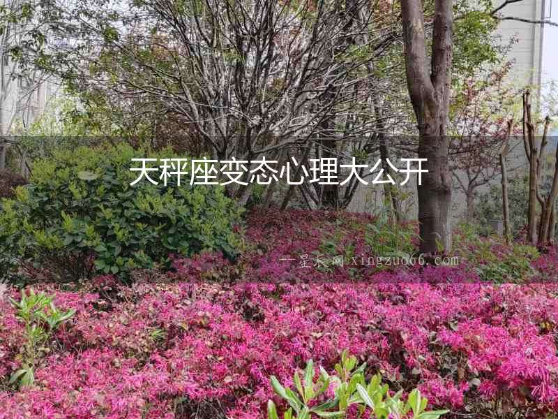 天秤座變態(tài)心理大公開(kāi)