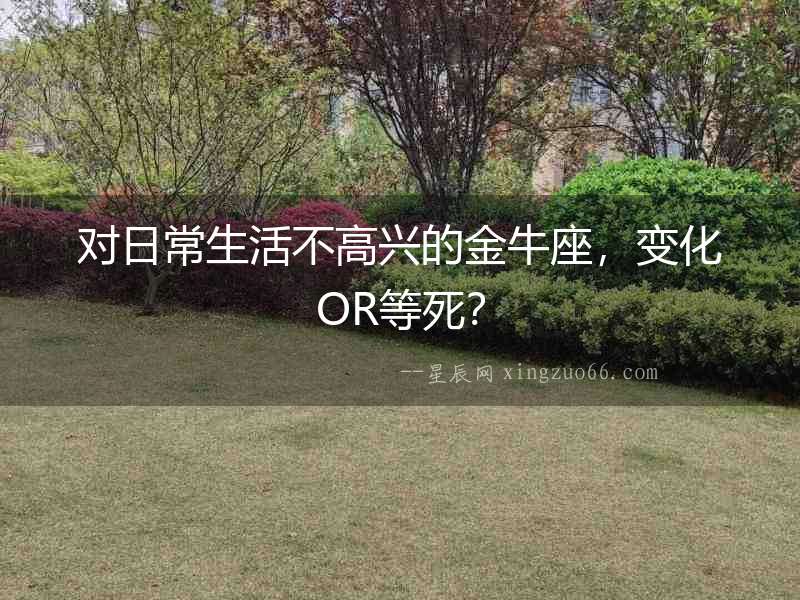 對(duì)日常生活不高興的金牛座，變化OR等死？