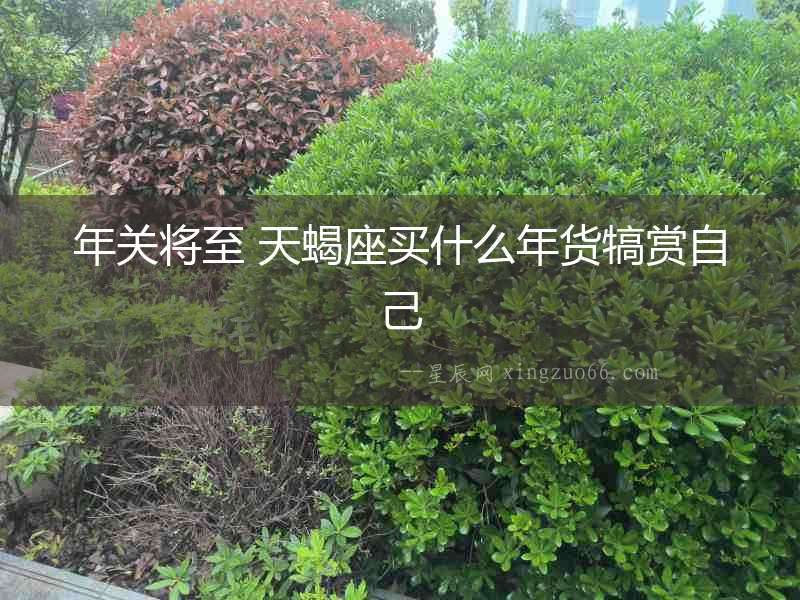 年關將至 天蝎座買什么年貨犒賞自己