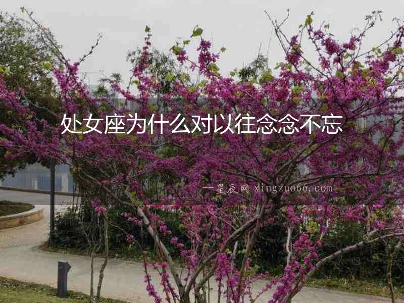 處女座為什么對(duì)以往念念不忘
