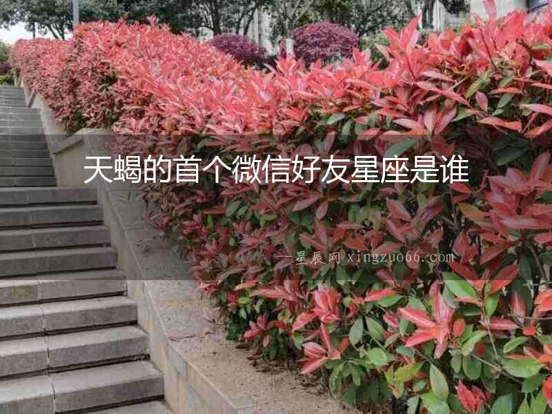 天蝎的首個微信好友星座是誰