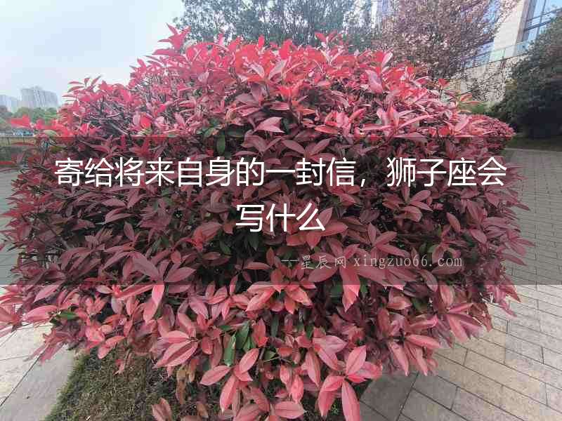 寄給將來自身的一封信，獅子座會寫什么