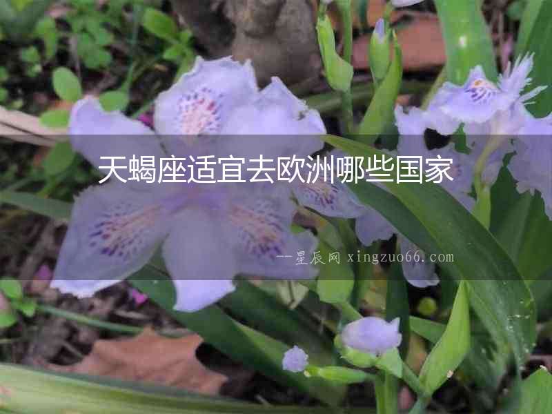 天蝎座適宜去歐洲哪些國家