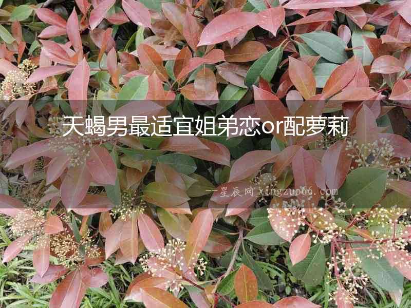 天蝎男最適宜姐弟戀or配蘿莉