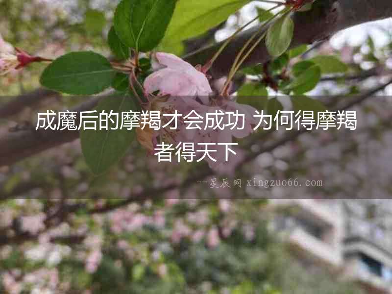 成魔后的摩羯才會成功 為何得摩羯者得天下