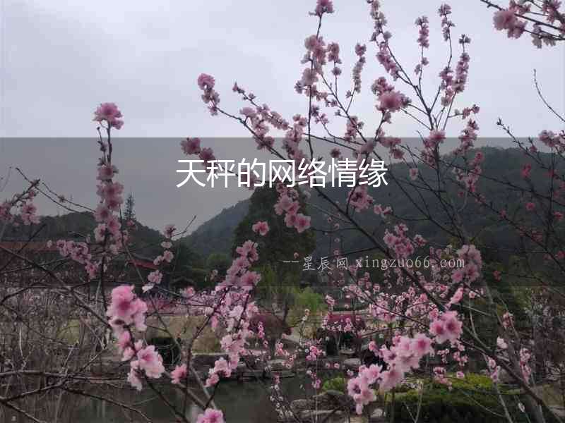 天秤的網絡情緣