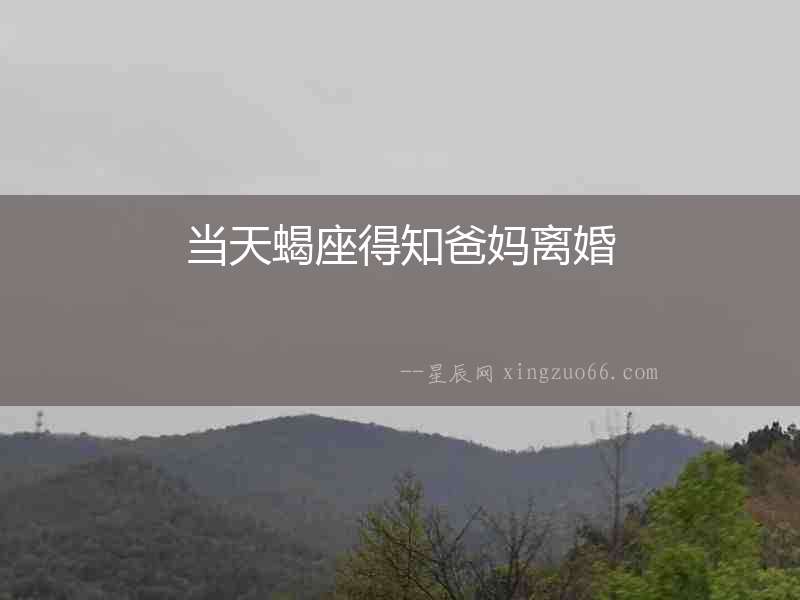當天蝎座得知爸媽離婚