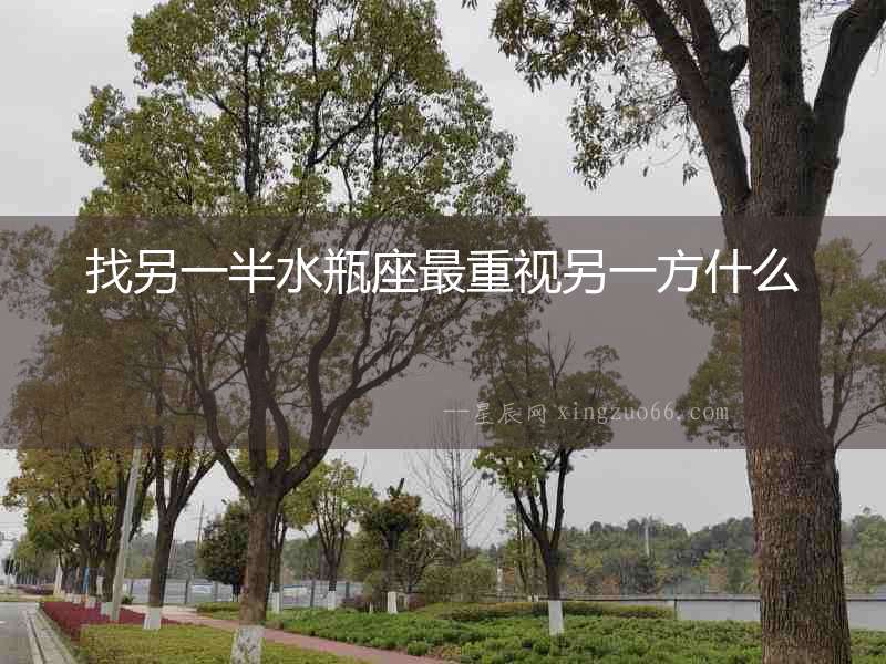 找另一半水瓶座最重視另一方什么