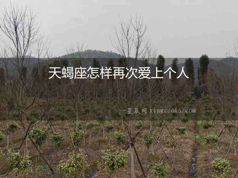 天蝎座怎樣再次愛上個人