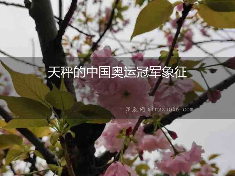 天秤的中國奧運冠軍象征