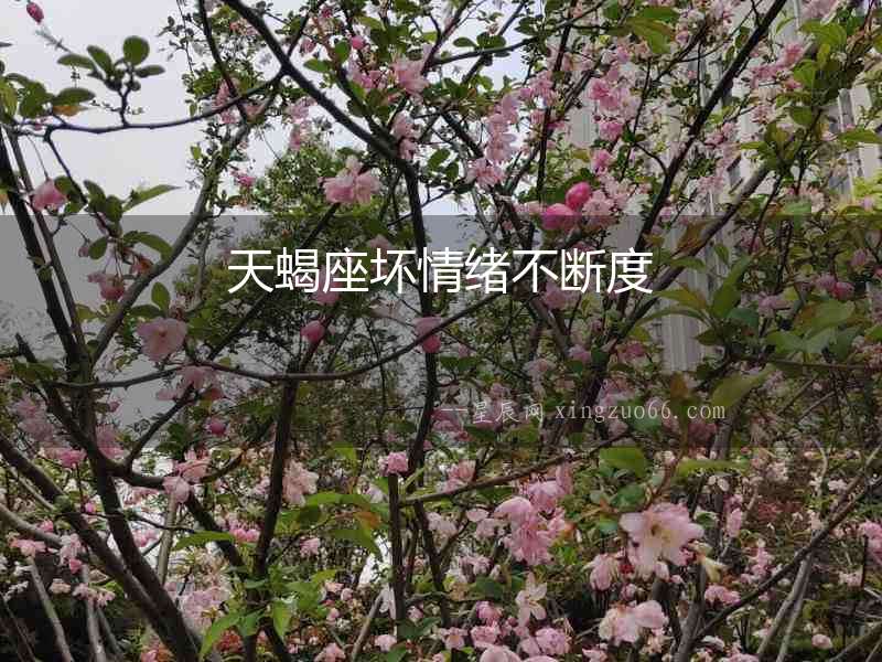 天蝎座壞情緒不斷度