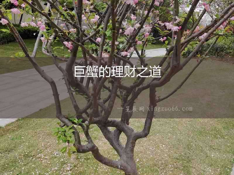 巨蟹的理財之道