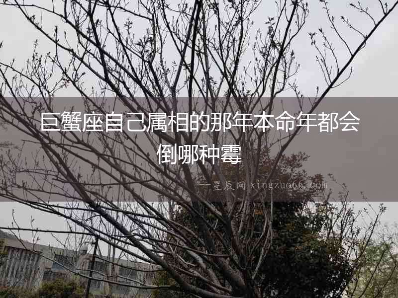 巨蟹座自己屬相的那年本命年都會倒哪種霉