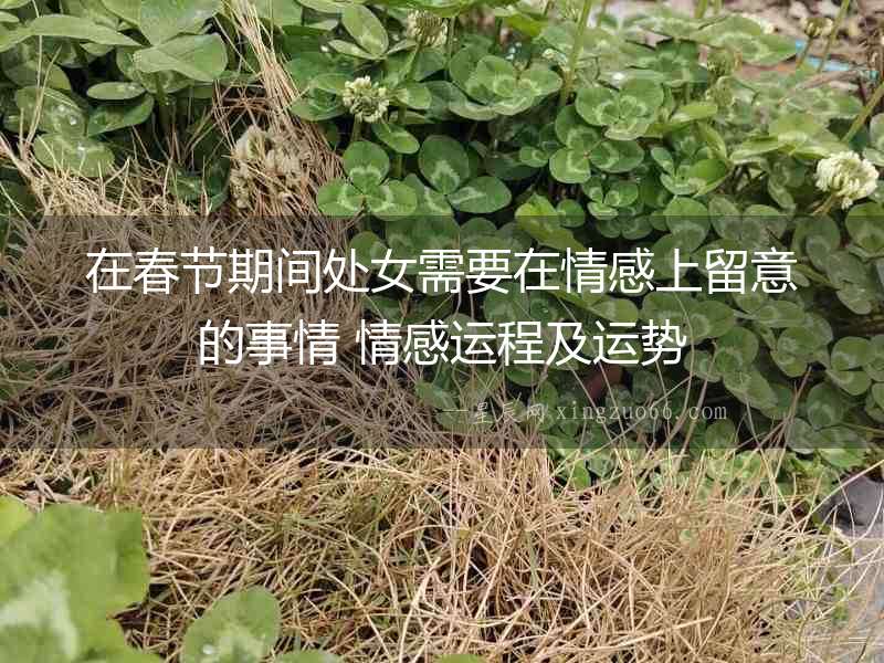 在春節期間處女需要在情感上留意的事情 情感運程及運勢