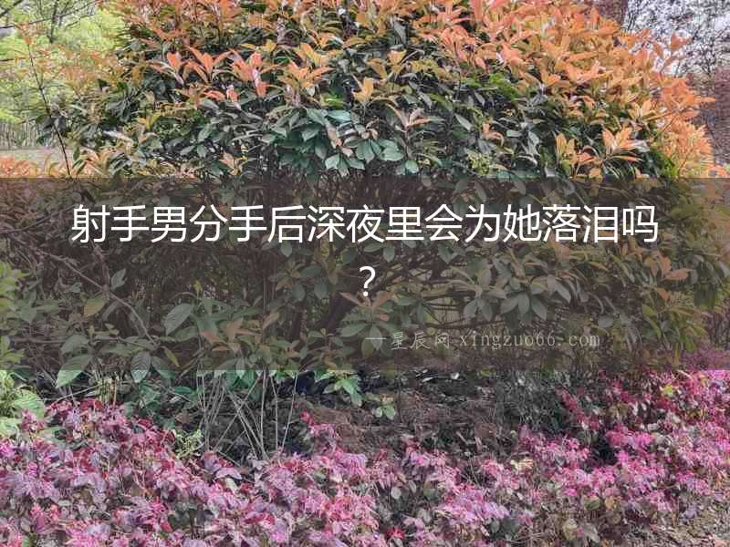 射手男分手后深夜里會為她落淚嗎？