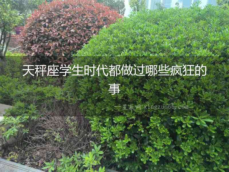 天秤座學(xué)生時(shí)代都做過(guò)哪些瘋狂的事