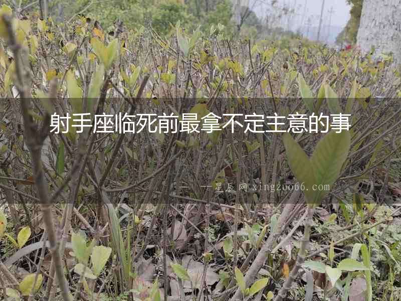 射手座臨死前最拿不定主意的事