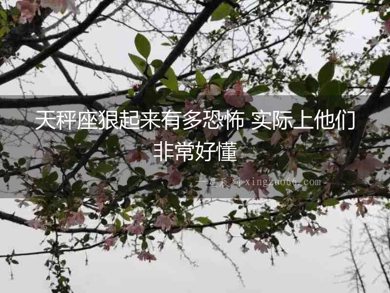 天秤座狠起來有多恐怖 實際上他們非常好懂