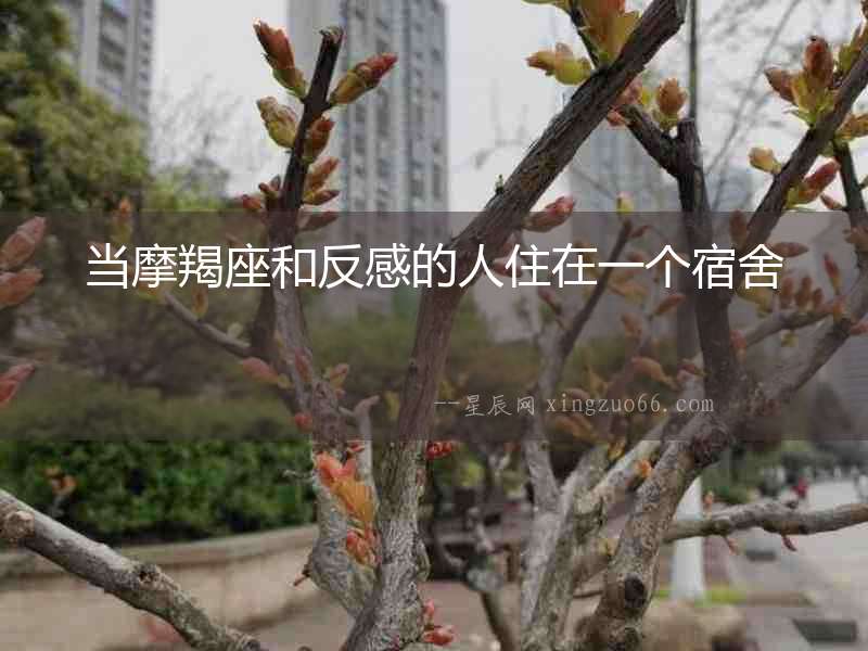 當(dāng)摩羯座和反感的人住在一個宿舍