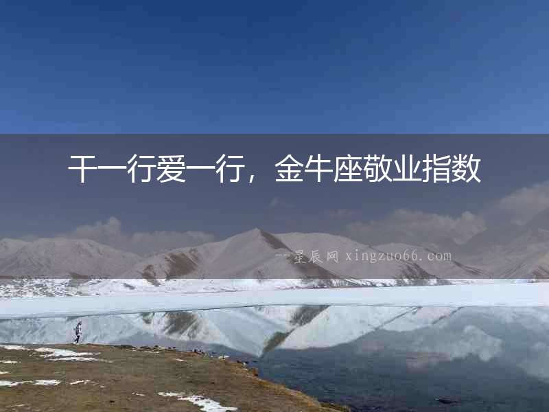 干一行愛一行，金牛座敬業指數